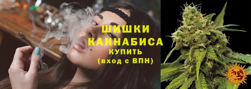 Конопля OG Kush  Рязань 